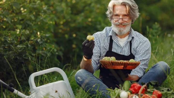 Bağbanlıq Yaşlıların Psixoloji Sağlamlığına Necə Təsir Edir?