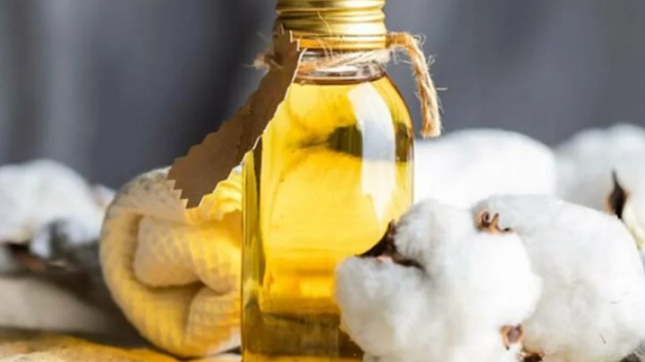 Azərbaycan əfqanıstana Pambıq Yağı İxracına Başladı: Yeni Ticarət əlaqələri