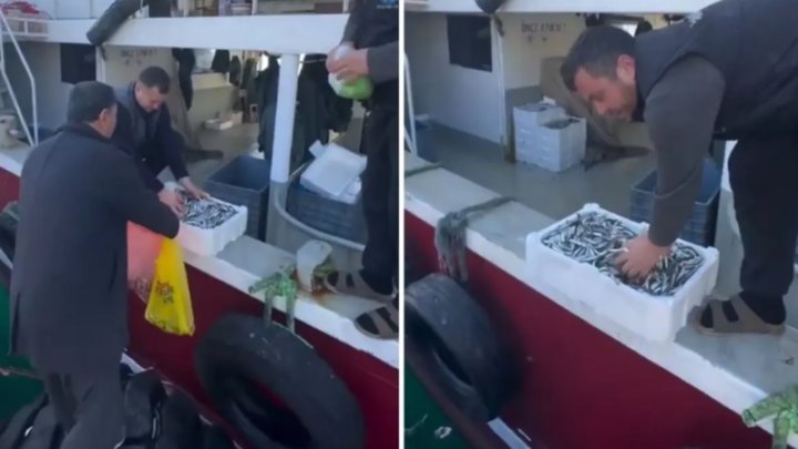 Balıqçılar Tutduqları Balıqları Camaata Pulsuz Payladılar! Səbəb çox Maraqlıdır -VİDEO Balıqçılar Tutduqları Balıqları Camaata Pulsuz Payladılar! Səbəb çox Maraqlıdır -VİDEO