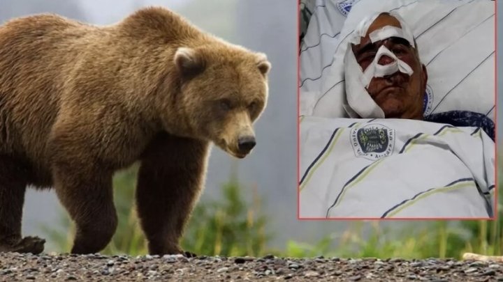 Ayı 70 Yaşlı Kişiyə Hücum Edib Görün Nə Hala Saldı! Ayı 70 Yaşlı Kişiyə Hücum Edib Görün Nə Hala Saldı!