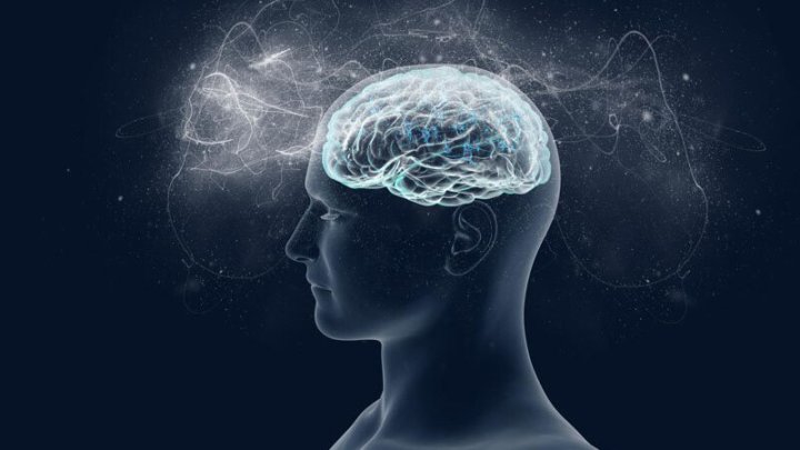 İnsan şüuru Necə Formalaşır? - Alim Açıqladı İnsan şüuru Necə Formalaşır? - Alim Açıqladı