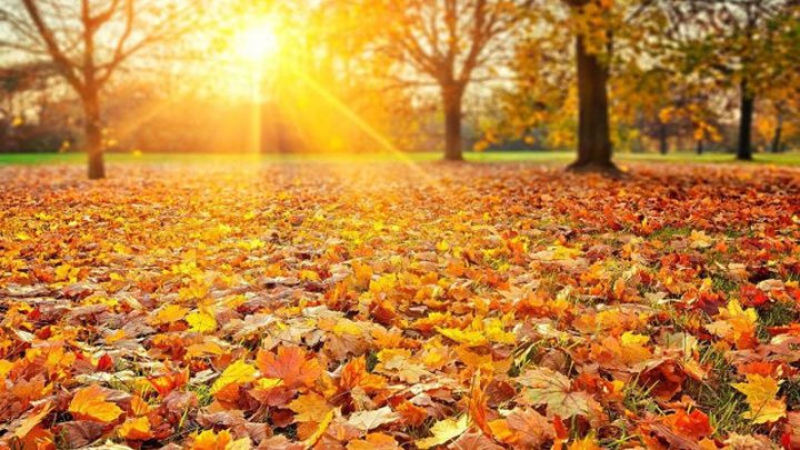 Sabah 22 Dərəcə Isti Olacaq Sabah 22 Dərəcə Isti Olacaq