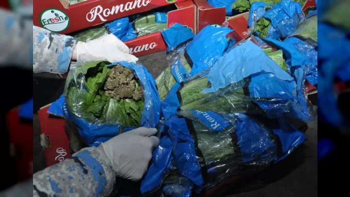 Biləsuvarda Kahı Yükləri Arasında Külli Miqdarda Marixuana Tapıldı!