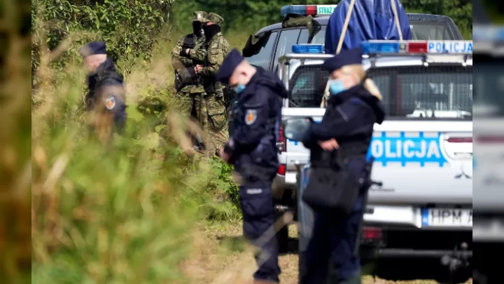 Polşada Sirli Tapıntı: Meşədə Naməlum Uçan Obyekt Aşkarlanıb