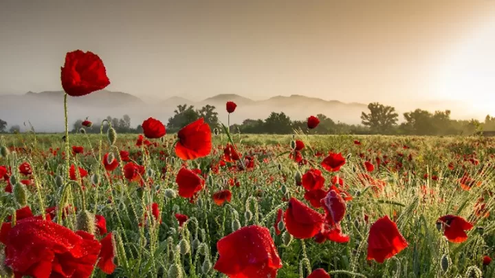 Aprel Ayında Azərbaycanı Hansı Hava şəraiti Gözləyir? – Proqnoz