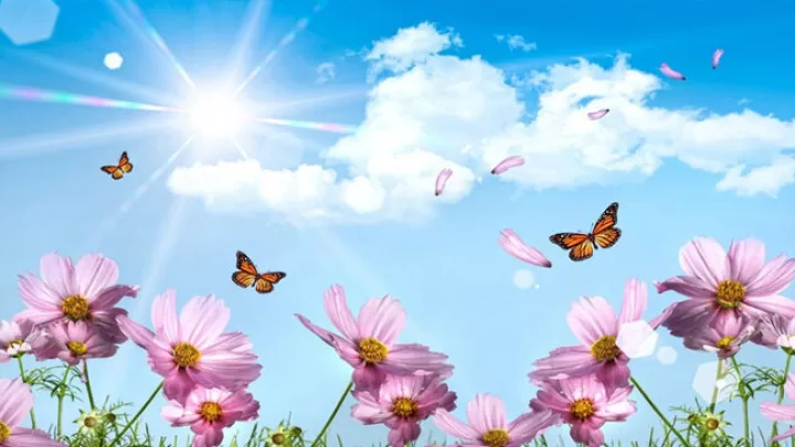 Yel çərşənbəsi Bu Gün Qeyd Olunur: Novruz Bayramına Hazırlıq Başladı