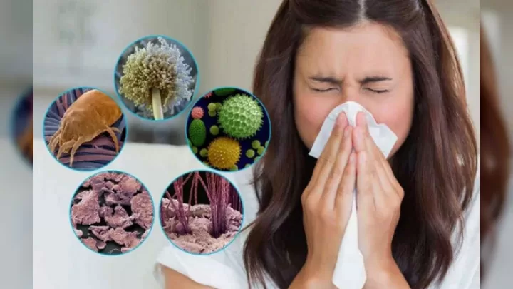 Allergiyadan Necə Qorunmalı? Simptomlar, Testlər Və Müalicə Yolları