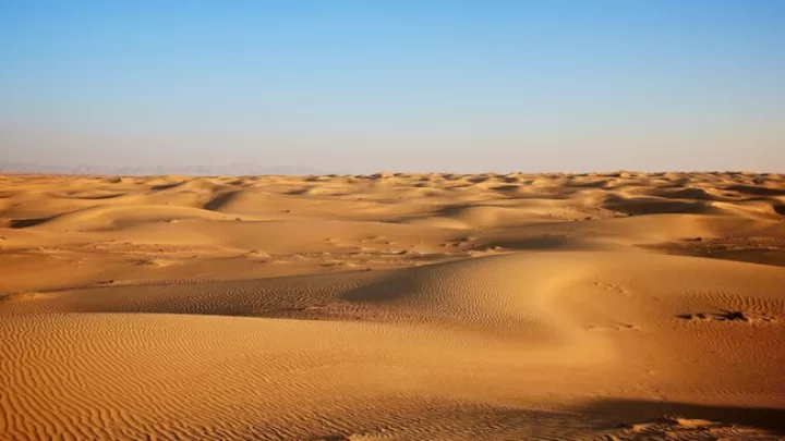 Sahara Səhrası Necə Yaşıllaşdı? Alimlərdən Yeni Tarixi Sübutlar